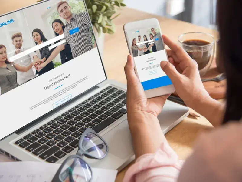 Professional WordPress Troubleshooting Support process