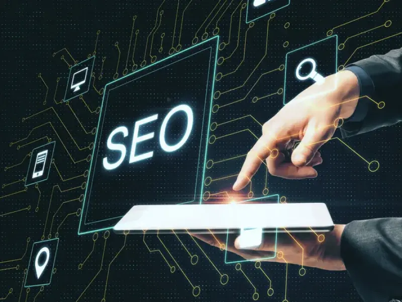 Professional WordPress SEO Implementation process