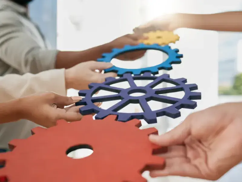 Professional WordPress Backup Configuration process