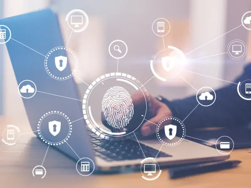 Professional WordPress Accessibility Optimization process