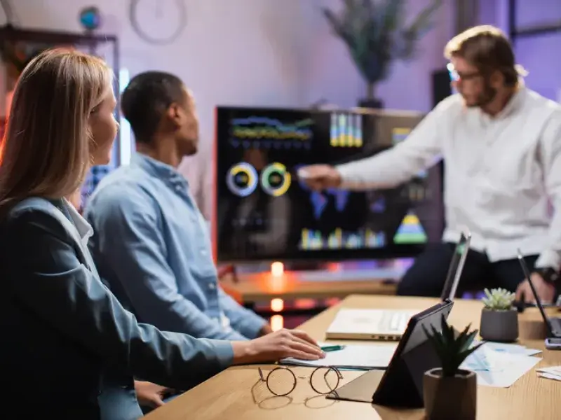 Professional WordPress Analytics Integration process