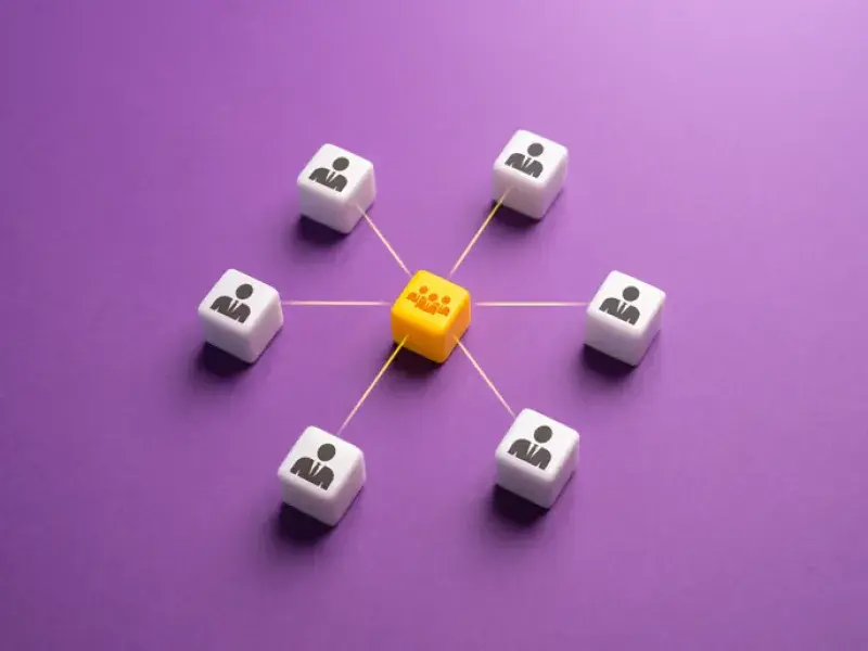 Professional WordPress Email Configuration process